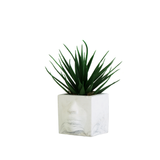 Vitale White Face Aloe Vera Saksı AK.WLT0908